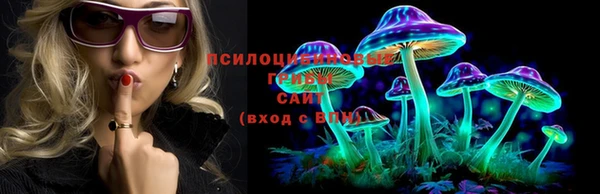 прущий лед Гусиноозёрск