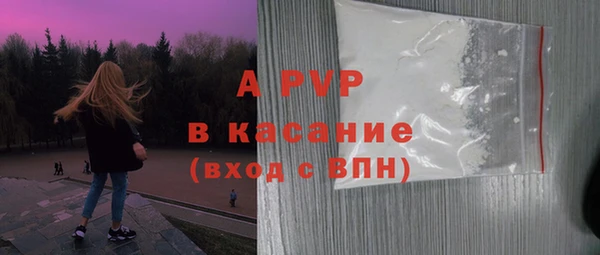 эйфоретик Гусев