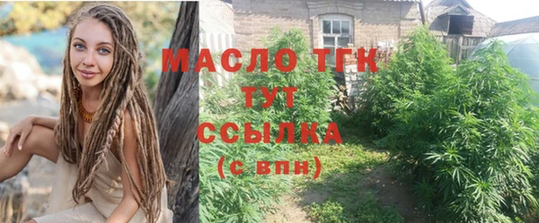 стаф Гусь-Хрустальный