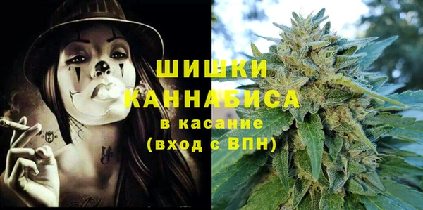 стаф Гусь-Хрустальный