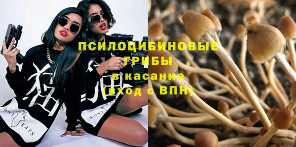 стаф Гусь-Хрустальный