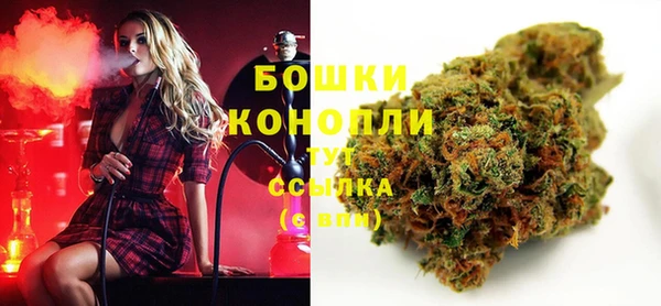 эйфоретик Гусев
