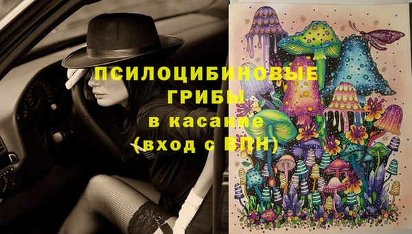 эйфоретик Гусев