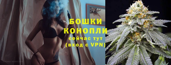 прущий лед Гусиноозёрск