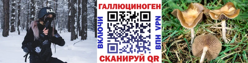 Псилоцибиновые грибы ЛСД МЕГА онион Каргополь